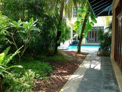 Leedon Road (D10), Detached #472531961